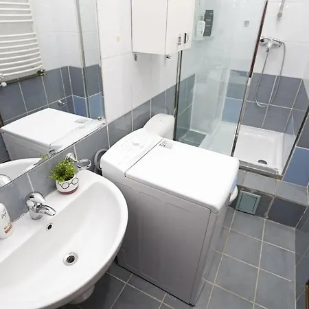דירה 1 Bdrm In Center