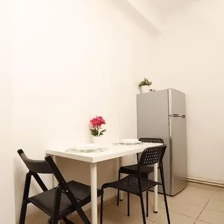 Apartment 1 Bdrm In Center *